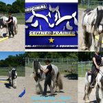 MH Horsemanship – Mobiler Unterricht Blau/Gelb