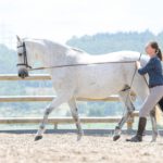 Cathrin Flößer – Training für Pferd und Reiter