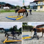 Karolina Wolska individuelles Pferdetraining