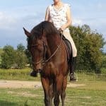 Ilse Wenner – ganzheitliches Pferdetraining für Saar und Mosel