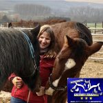 Training für große und kleine, junge und alte Pferde