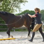eQui-GAmPO – Ganzheitliches Arbeiten mit Pferden Ostfriesland