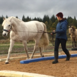 Nadine Klindworth – Pferdetraining, klassische Bodenarbeit und Reitunterricht
