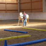 E(qui)motionale Balance – mobiles Pferdetraining