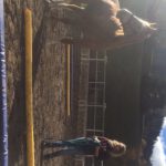Equi-horse