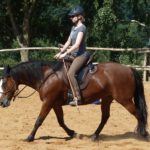 Stefanie Barth – Natürliches Pferdetraining