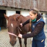 Training für Pferd und Mensch
