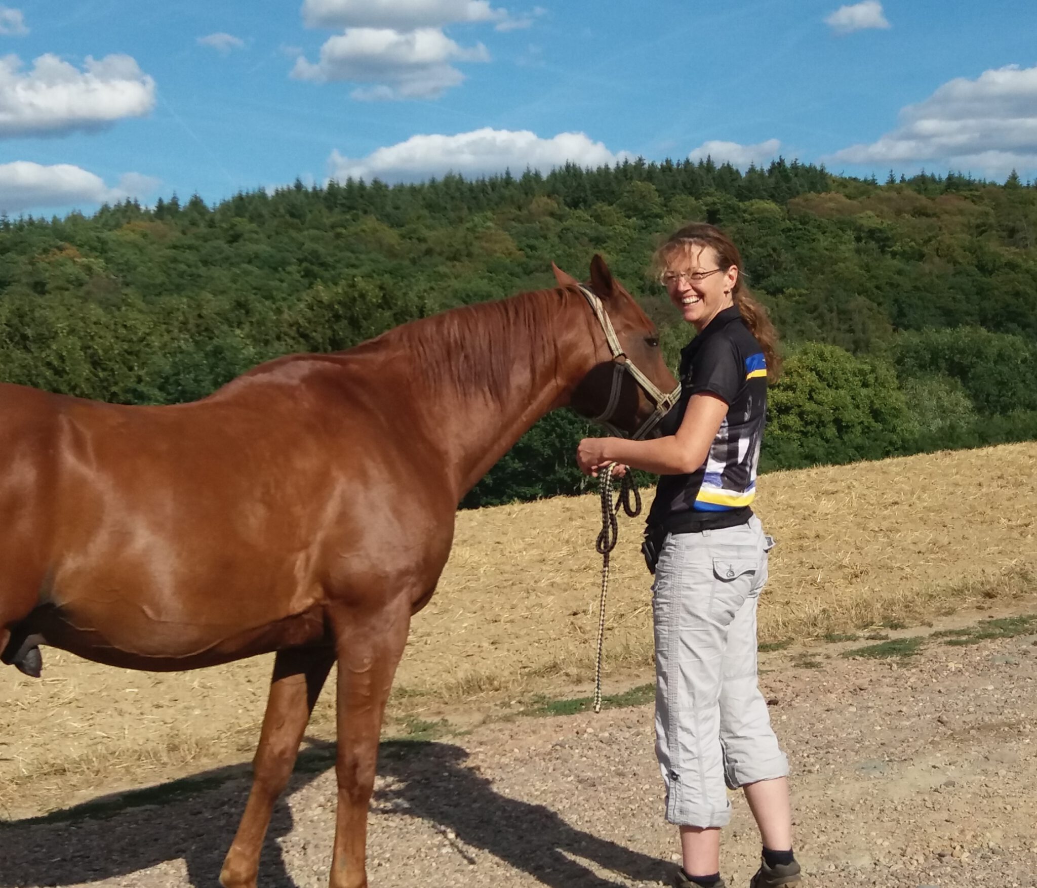 Pferdetrainer-Mainz - Michael Geitner - Be-Strict