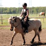 Training für Pferd und Mensch
