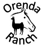 Orenda-Ranch: Institut und Akademie für tiergestützte Therapie