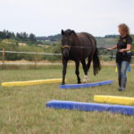 Ursula Kugel – Mit Arbeit, Spaß und Spiel zum gesunden Pferd