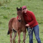 Pferde-Physiotherapie Eva Ortner