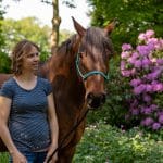 Miriam Wiemann (Reha-)Training und Therapie für Pferde