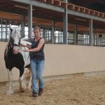 Miriam Wiemann (Reha-)Training und Therapie für Pferde
