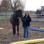 Bettina Chrosnik – Blau-Gelbes-Pferdetraining mit Köpfchen