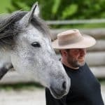 René Schwarz · Training für Pferd und Mensch