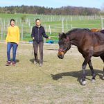 Anna Franzreb – Bewegungsfreude für jedes Pferd