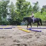 Sonja Knott Ride in Harmony – HORSE TRAINING BAVARIA
