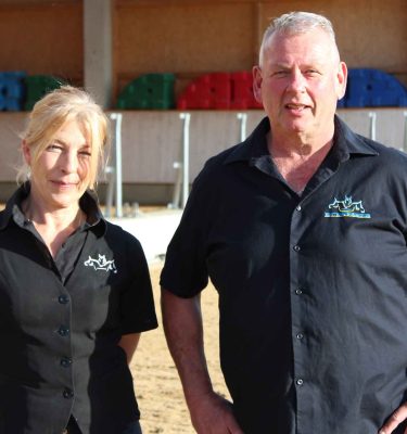 Ausbildung zum Pferdetrainer