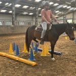 Pferdetraining – kkf