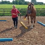 Pferdetraining Heike Sahlmann 