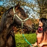 Nina Scheurer – Pferdephysio PfalzBewegung ist Leben!
