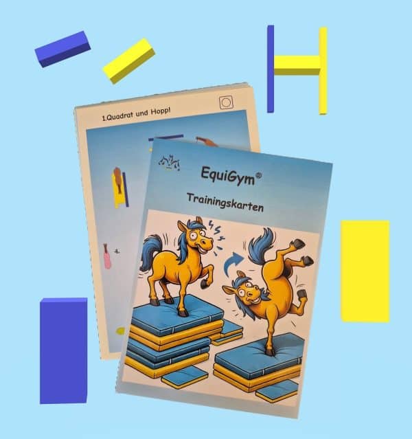 10 Trainingsparcours-Karten EquiGym®