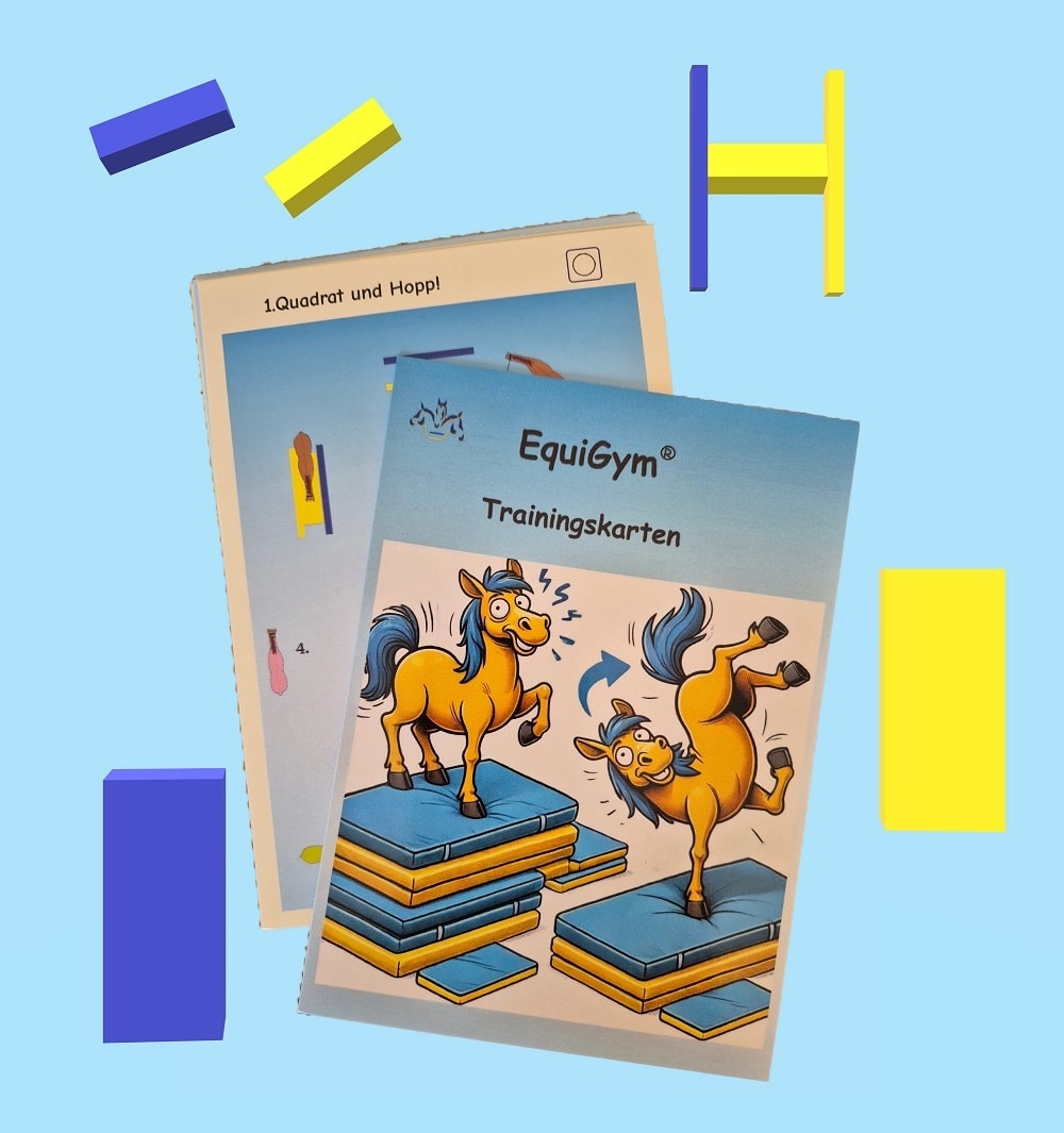 10 Trainingsparcours-Karten EquiGym®